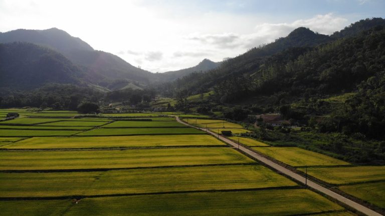 Vista aérea de áreas agrícolas verdes entre montanhas em Massaranduba, Santa Catarina